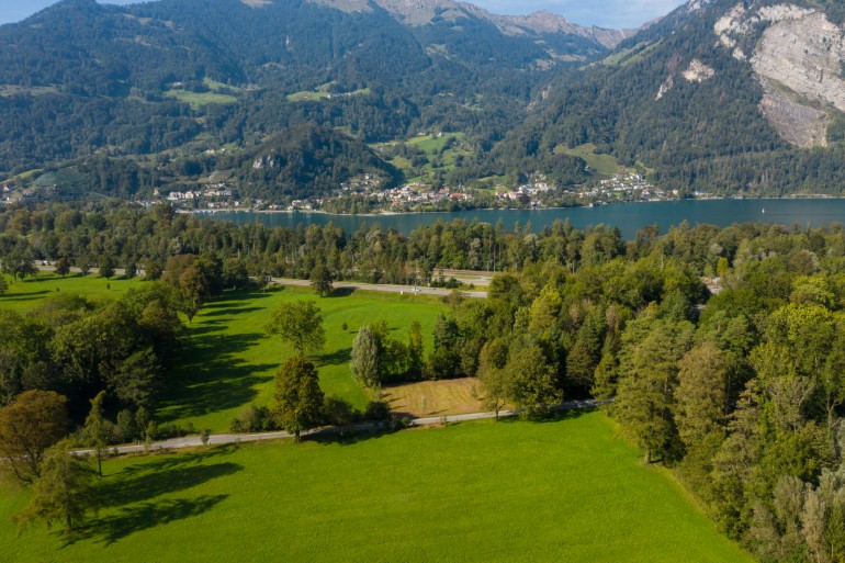 Wald- und Wiesenfl&auml;chen am Walensee 